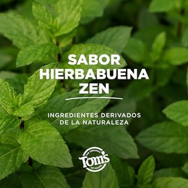 Tom's of Maine Pasta Dental sin Flúor Blanqueadora Antiplaca 127 g. Combate la Formación de Sarro y Disfruta de un Aliento Fresco. Cuida tu Esmalte. Dientes más Blancos y con Ingredientes Naturales