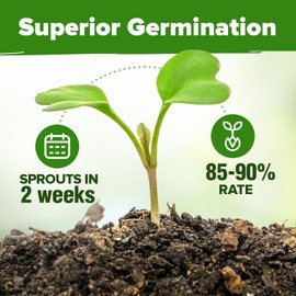 HOME GROWN 30 Herb Seeds Pack | 9,500 Non-GMO, Heirloom Seeds | Indoor & Outdoor Planting | Culinary Herb Seeds Variety Pack | Perfect for Hydroponic Gardens | Parsley, Rosemary, Thyme & More