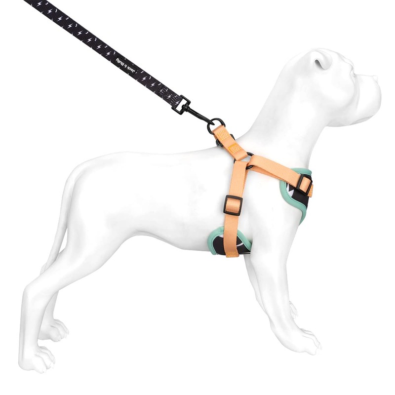 Jack & Bully Dog Leash, Lightning Pattern, 5ft Leash, Soft
