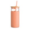 Tronco 20 oz Glass Tumbler With Lids and Straws, Glass