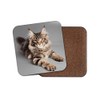 1 x Beautiful Maine Coon Cat Coaster - Kitten Mum