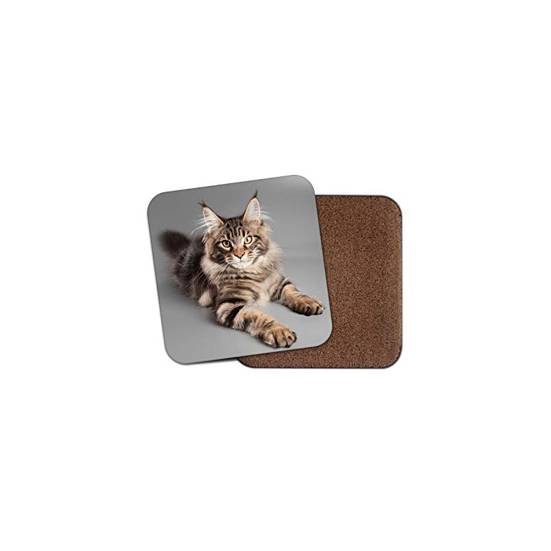 1 x Beautiful Maine Coon Cat Coaster - Kitten Mum