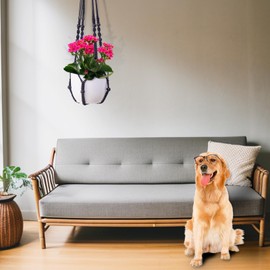 1pc, Hand-woven Balcony Hanging Flower Pot Net Pocket Wall-mounted Flower Pot Hanging Rope Green Carrot Hanging Basket Colorful Flower Pot Net Pocket Hanging Basket, Black