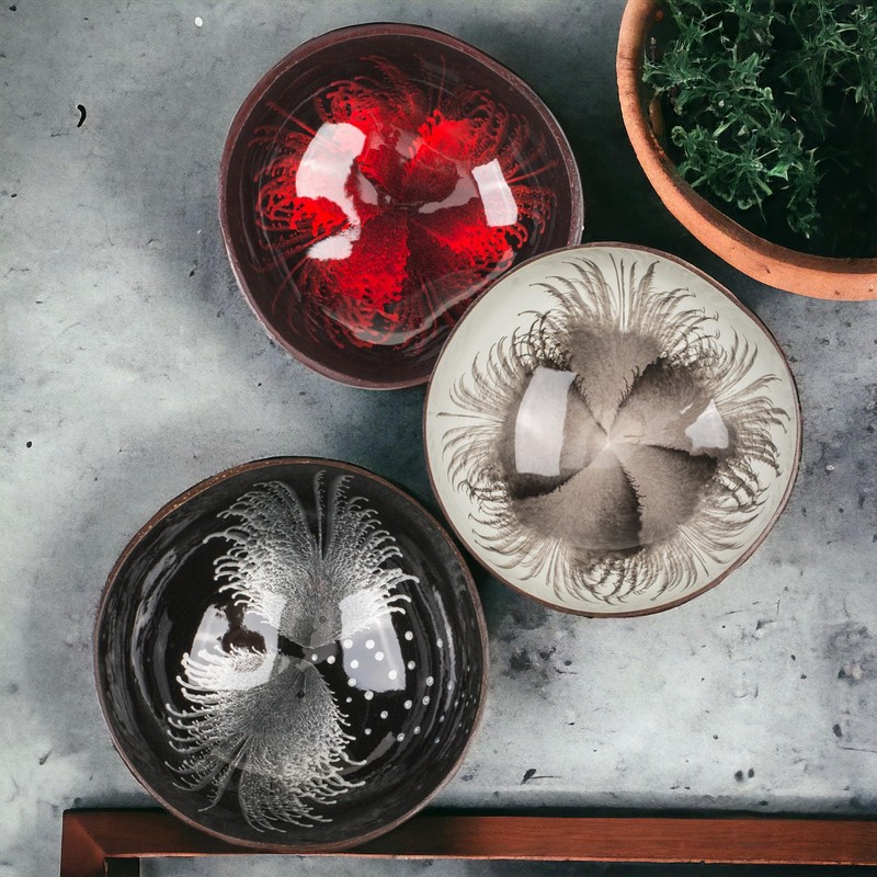 MIJOMA Exotic Coconut Bowl, Colourful Varnished Interior, Robust and Aesthetic,