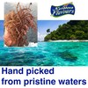 Sea Moss Gel - Turmeric - Ginger - Coconut 450g