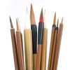 CENPEK 10 Piece Set Excellent Chinese Calligraphy Brush Kanji Japanese