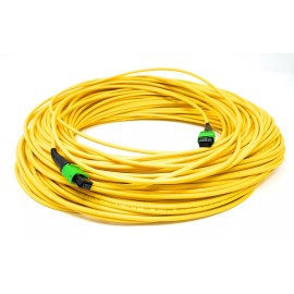 RiteAV 12 Fiber Trunk Cable, MTP Female-MTP Female, Singlemode, Type A, OFNR 6 Meter