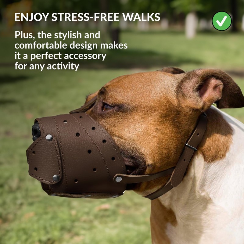 CollarDirect Leather Basket Dog Muzzle for German Shepherd Staffordshire Terrier