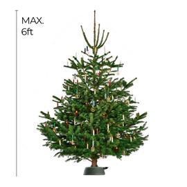 Krinner X-6 Christmas Tree Stand, Green - Single Cable Operation, Holds Up to 6 Foot Holiday Trees - Foot Press for Easy Setup, Water Tank with Water Level Indicator