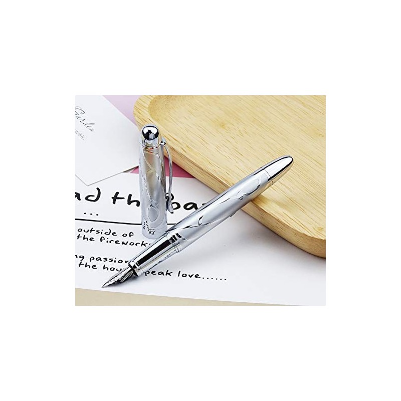 5010 - Pluma estilográfica (punta fina, con estuche para bolígrafos),