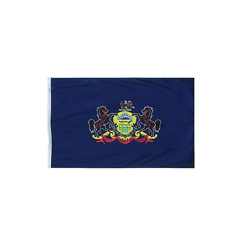 Annin Flagmakers Pennsylvania State Flag USA-Made to Official State Design