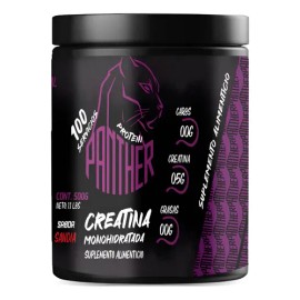 Creatina Monohidratada 500g En Polvo Panther Protein Sabores