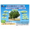 Neem Aroma Clean (Mandarin Orange) NEEM Aroma Clean, 6.8 fl