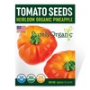 Organic Pineapple Tomato Seeds - USDA Organic, Non-GMO, Open Pollinated,