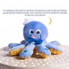 Baby Einstein Octoplush Musical Huggable Stuffed Animal Plush Toy, Learn