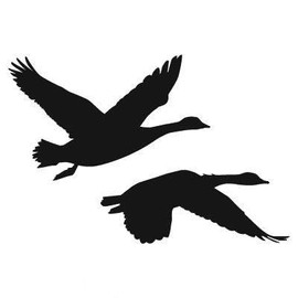 Express Yourself 2 Geese Flying (Black - Image Facing as Shown - Large) Decal Sticker - Waterfowl Collection