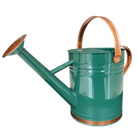 SunnyTong Metal Watering Can for Outdoor and Indoor Plants, Watering Can Decor, 1 Gallon (1 Gallon Green2)