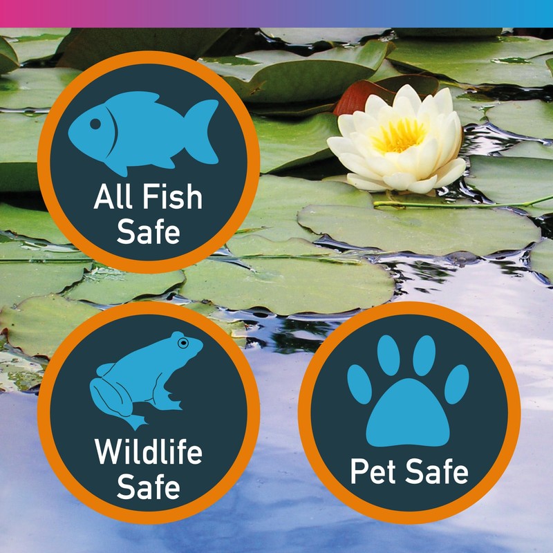 NT Labs Pond Mature, Pond Live Filter Bacteria, Breaks Down