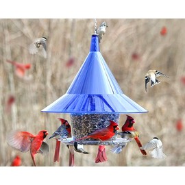 SKY CAFE - Squirrel Proof Wild Bird Feeder for Outside - Large, 17 in. Diameter, 1.5 Gallon Seed Capacity - Made in USA by Arundale (Sapphire Blue)