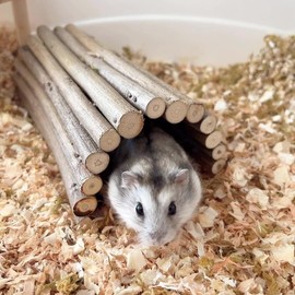 DEMONTALK Natural Wooden Hamster Mouse Tunnel Tube, Small Animal Chew Toy for Rat Rodents