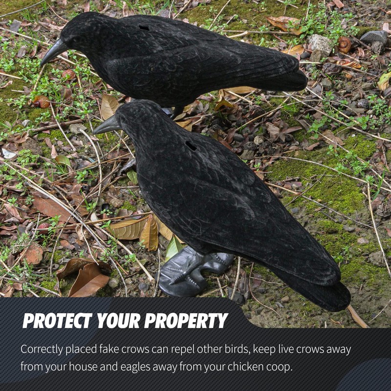 Volein Crow Decoy for Attracting Crows, 2-Pack Plastic Fake Crows