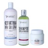 Kit Brasileña Silver 1l, Sellador 300ml, Shampoo Lp 500ml
