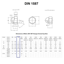 TERF® M6 Dome Cap Nuts M6 (6mm) Steel Dome Cap Hex Nut Head Acorn Nuts Cover - Pack of 20