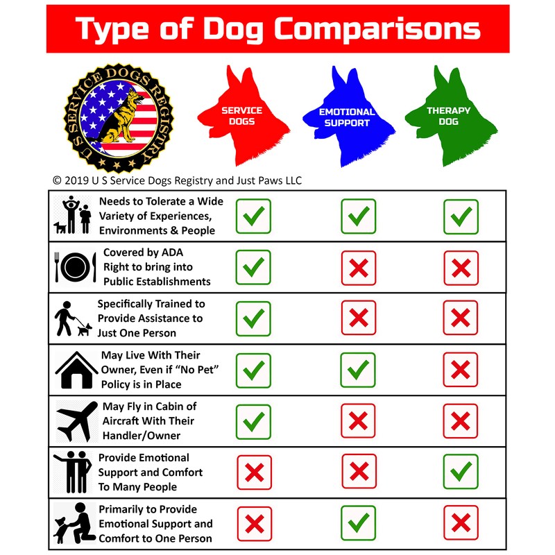 Just 4 Paws Custom Service Dog ID Card with QR