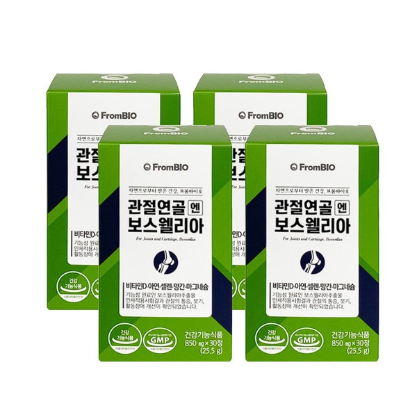 FromBio Articular CartilageN Lee Byung-Hun Boswellia 850mg x 30 tablets,