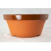Japanese Tokoname Bonsai Training Pot, Cactus & Succulent Planter with