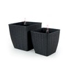 TREATLIFE HOME Self-Watering Hand Woven Wicker Planter - Elegant Dark
