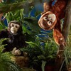 Living Nature AN393 Soft Toy Animal Orangutan, Brown