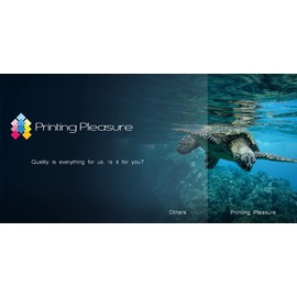 Printing Pleasure 2 XL Printer Cartridges for Canon Pixma MG2450 MG2550 MG2550S iP2850 MG2950 MG3050 MX495 MG2400 MG2455 MG2555 MG2555S MG3051 TS3151 | Compatible with PG-5455 XL XL (PG54 5XL)