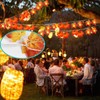 Picture Hanging Wire 100-Feet Braided Picture Wire Heavy for Photo