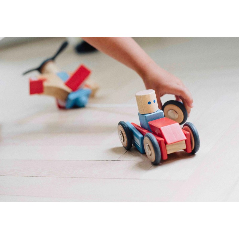 Tegu Daredevil Magnetic Wooden Block Set, 1-99 years old, 12