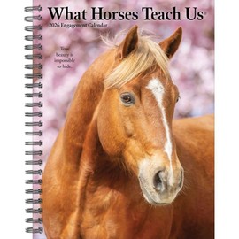 What Horses Teach Us 2026 6.5" x 8.5" Engagement Calendar