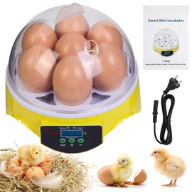 HOWOOIUA Egg Incubator 360° View 7 Eggs Poultry Incubator for Hatching Chickens with Manual Temperature a for Chicken, Quail, Parrot Eggs