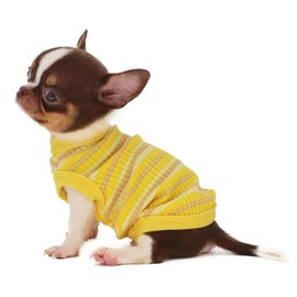 LOPHIPETS 100% Cotton Rib Dog Shirt Vest for Small Dogs Teacup Chihuahua Yorkie Puppy Clothes Tank Tee-Yellow/XS