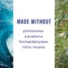 Glade PlugIns Refills Air Freshener, Sea Mist & Cypress, Scented