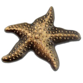 PinMart Starfish Pin and Story Make a Difference Lapel Pin on Card
