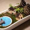 KITANDOVE 16pcs Micro Garden Miniature Ornaments Box Garden Miniature Village
