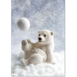 doodlecards Blank Christmas Card Polar Bear and Snowball Medium Size Christmas Card with Plain Envelope