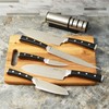 Berghoff Antigua 5Pc Knives With Case German Steel Etched Blade