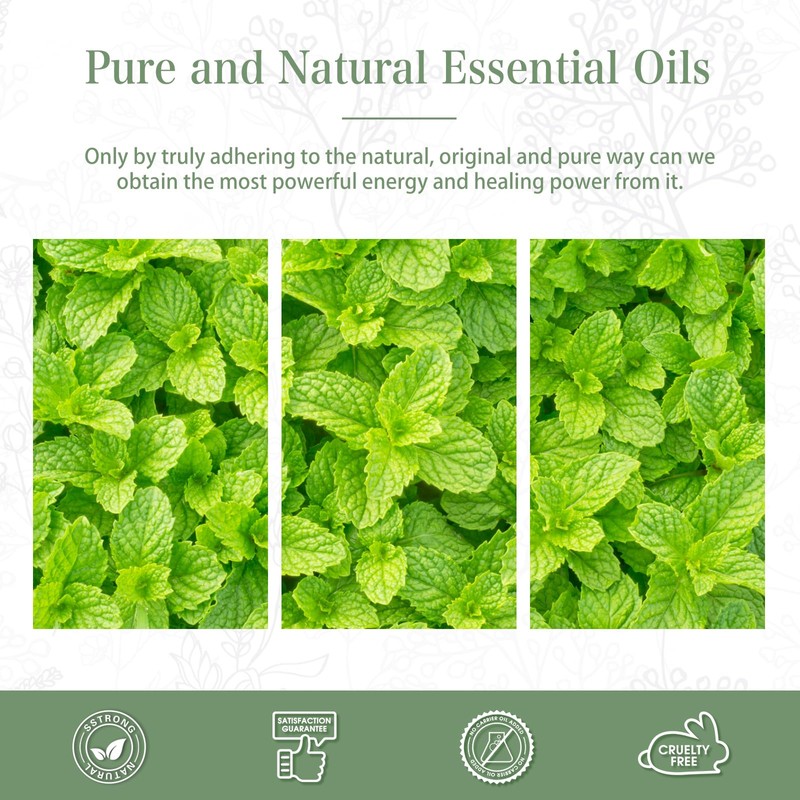 PHATOIL Essential Oil Peppermint 100ml Essential Oil Aroma Oil Gift