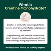Purolabs Creatine Monohydrate Powder 300g | Unflavoured 100% Pure Micronised