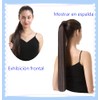 2 Extensiones de Cola de Caballo, Coleta Postiza, Coleta Postiza