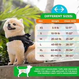 Joyride Harness Summer Mesh Vest – 2.0 No Pull Dog Harness - Adjustable, Breathable Vest - Custom Name Tag Included - Perfect for Small, Medium & Large Dogs