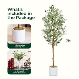 Cozy Flora Artificial Olive Tree - 7FT Tall (84 Inches) - Faux Potted Silk Olive Tree Plant for Indoor Home Decor - for Home Decor - Made with 50% Thicker, Fuller Leaves & Branches