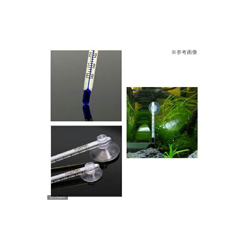 Gex GEX Crystal Water Thermometer SS