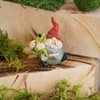 Top Collection Miniature Fairy Garden and Terrarium Gnome Hugging Frog